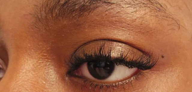 The Lash Lounge photo 3