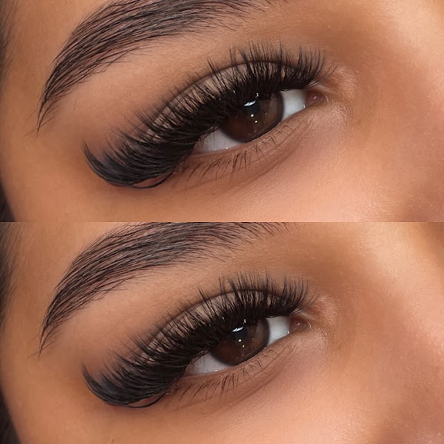 The Lash Vault