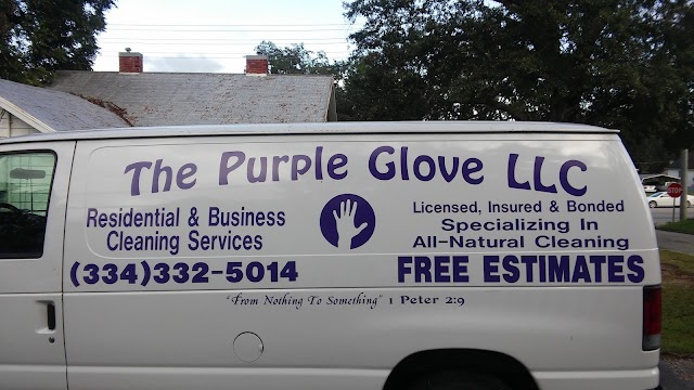 THE PURPLE GLOVE LLC