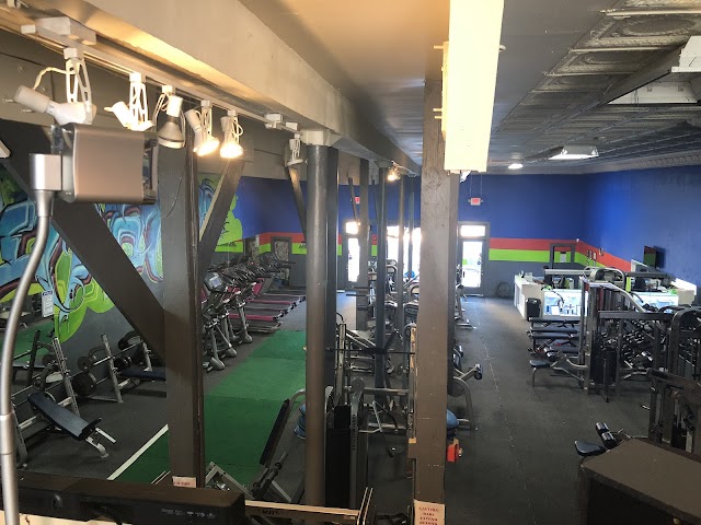 The Wellness Club photo 4