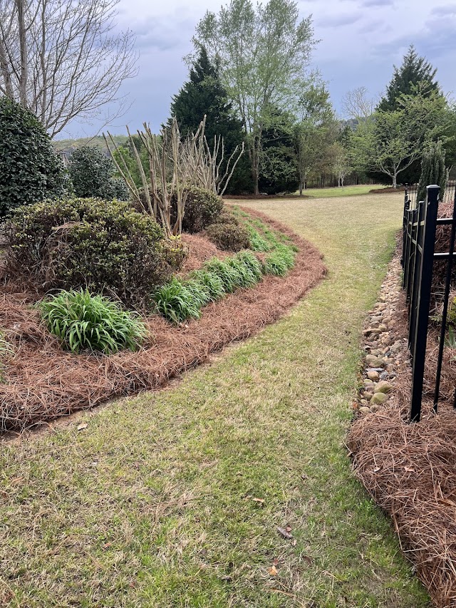 Thomas Landscape Group LLC photo 4