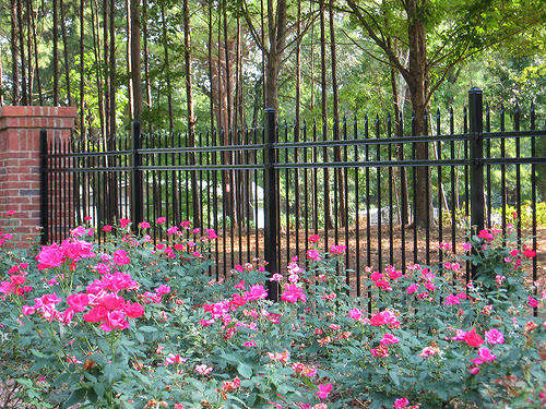 Thompson's Fence Company Atlanta photo 4