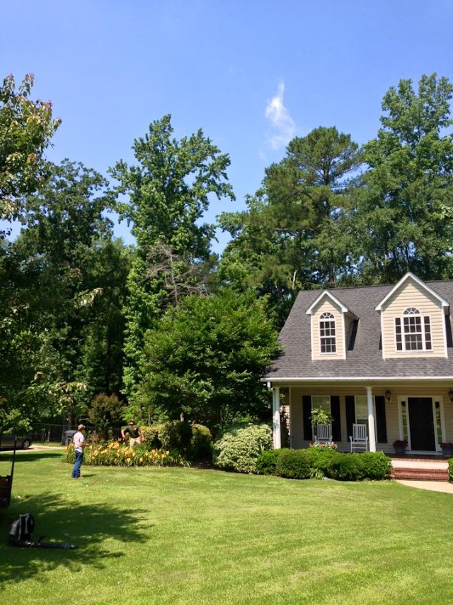 Thornton's Tree Services Macon, GA photo 2