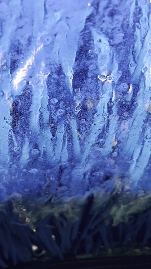 Tidal Wave Auto Spa | Car Wash photo 3