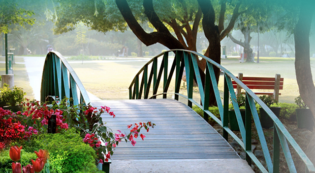 Tidewater Landscape Management Inc photo 2
