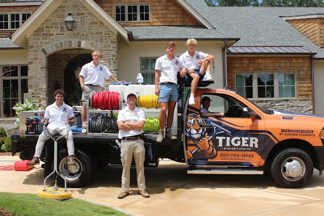 Tiger Window Cleaning photo 1