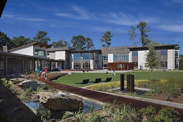 Time Wellness Georgia photo 3