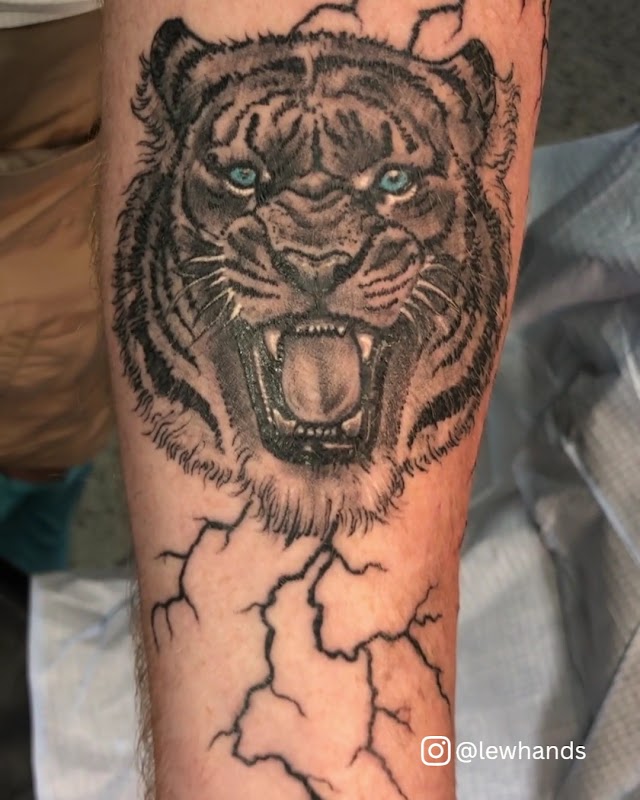 Timeless Tattoo, Inc.