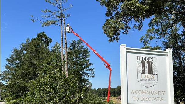 Tip-Top Tree Service