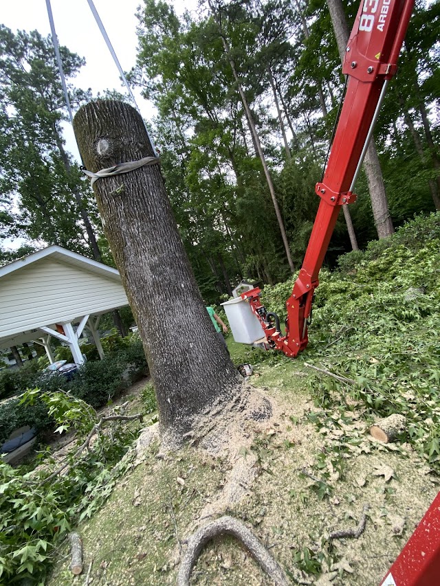 Tip-Top Tree Service photo 4