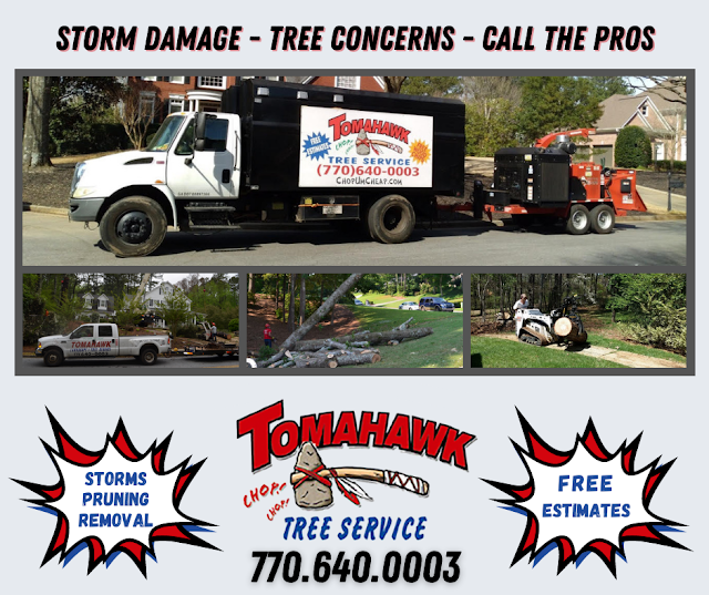 Tomahawk Tree Service photo 3