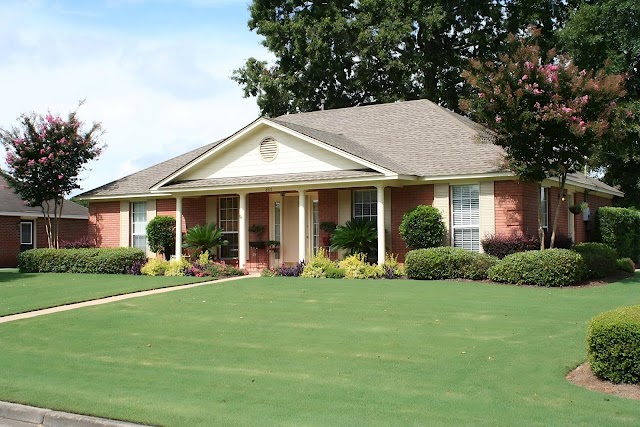 Top Notch Lawns photo 4