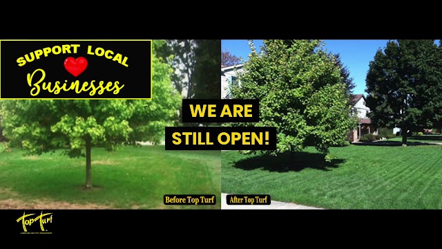 Top Turf Lawn Care and Pest Management photo 2