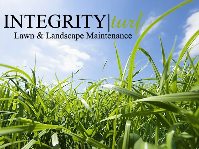 Top Turf Lawn Care and Pest Management photo 3