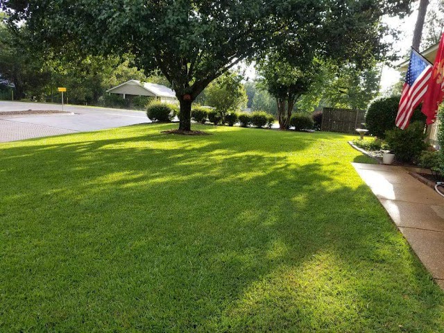 Total Lawn LLC photo 2