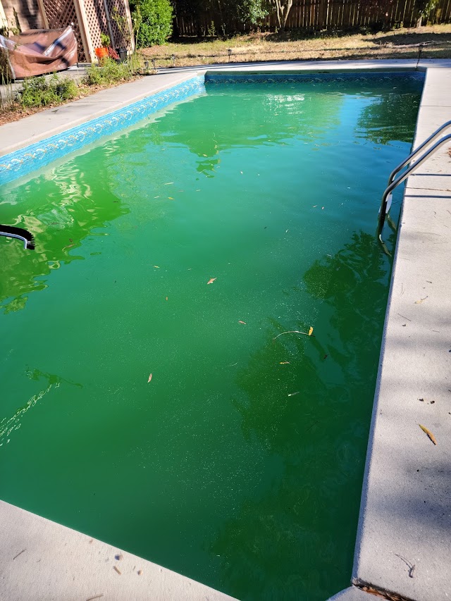 Travis' Clean Pool Service photo 2