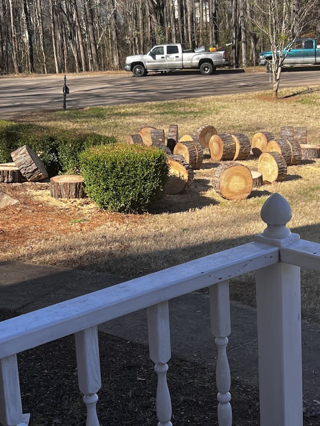Tree Brothers Tree Service
