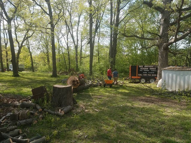 Tree Brothers Tree Service photo 2