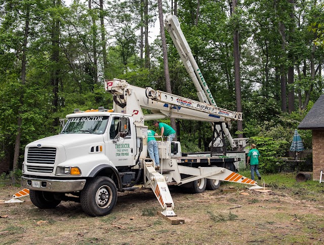 Tree Doctor Tree Services photo 3