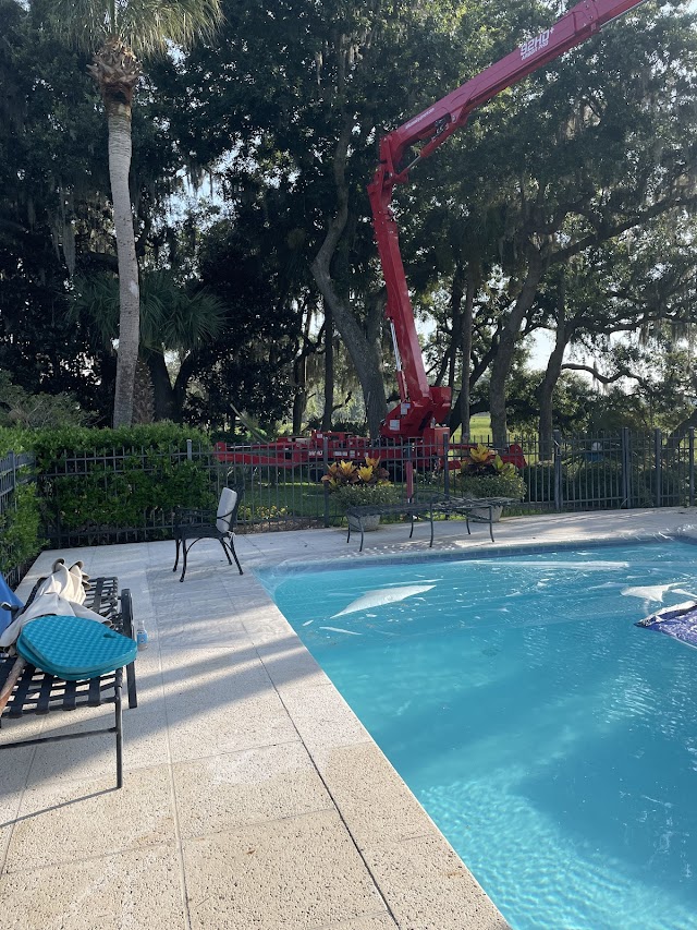 Tree Masters of Savannah photo 2