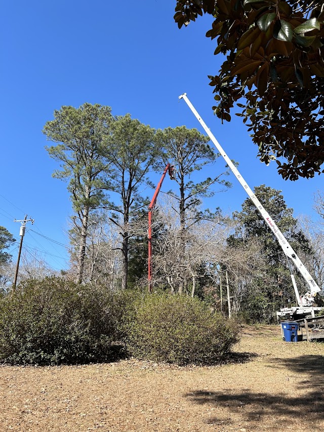 Tree Masters Tree Service photo 4