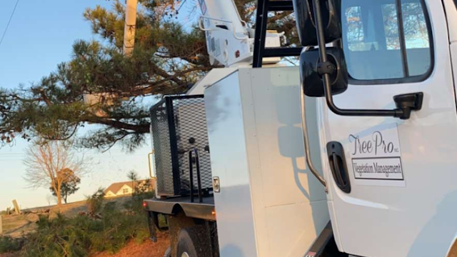 Tree Professional, Inc.
