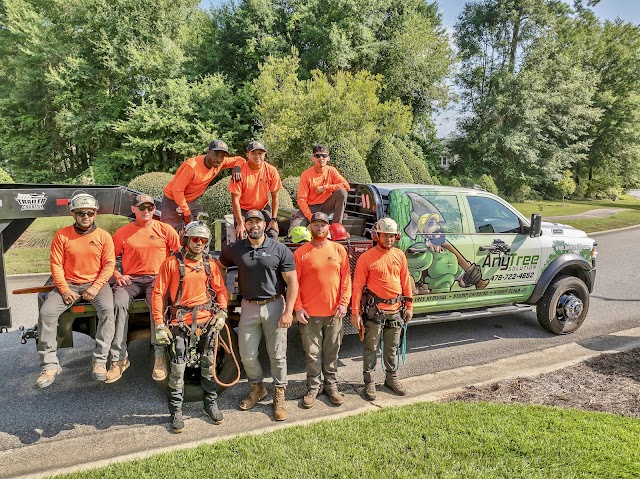 Tree Removal Near Me photo 4