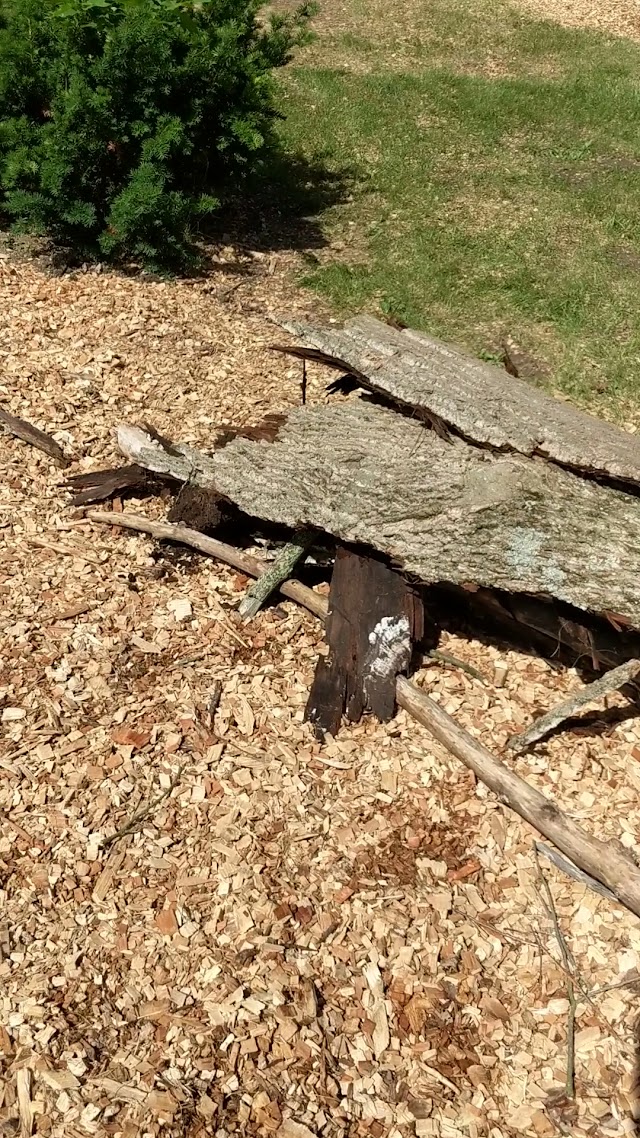 Tree Service Of Mobile photo 3