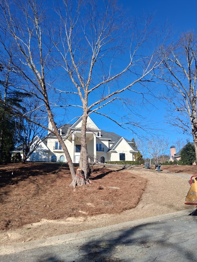 Tree Service Quiroz Llc