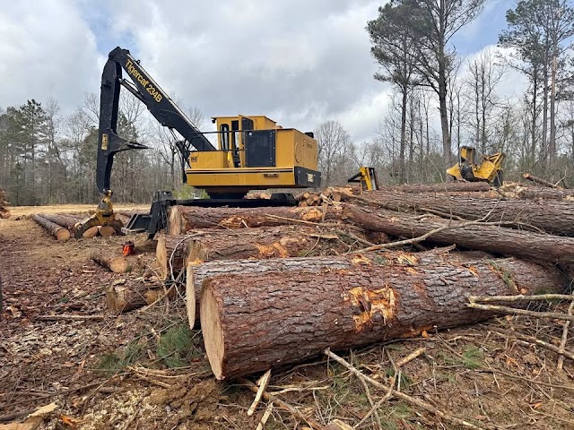 Tree Service Valdosta Ga