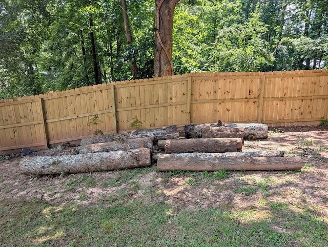 Tree Service Valdosta Ga photo 3