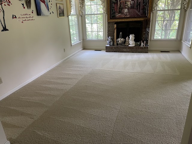 Tru-Dry Carpet Care