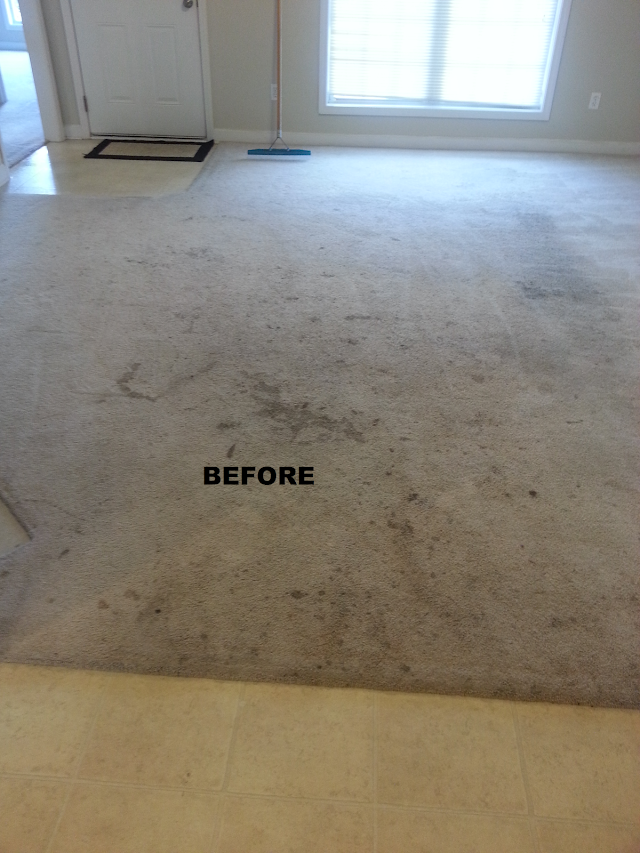 Tru-Dry Carpet Care photo 2