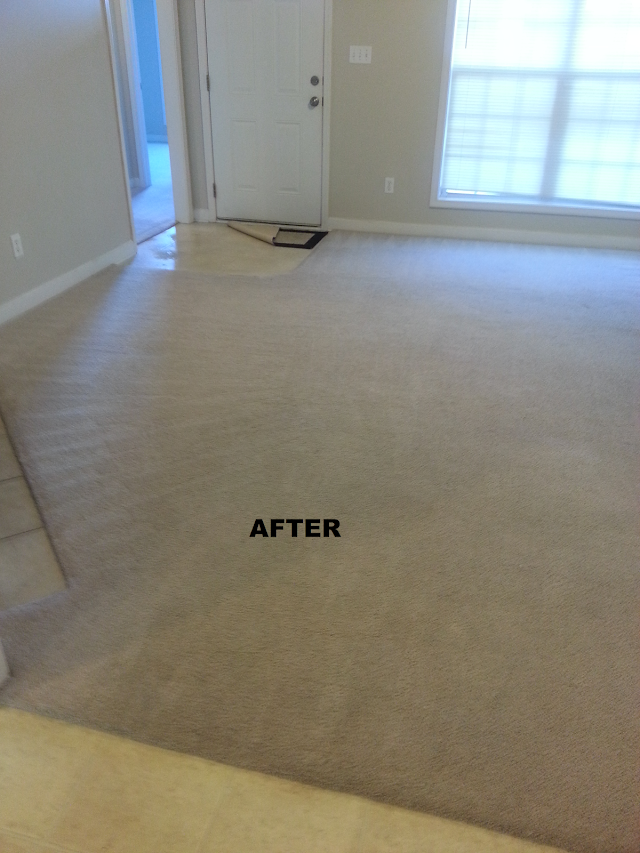 Tru-Dry Carpet Care photo 3