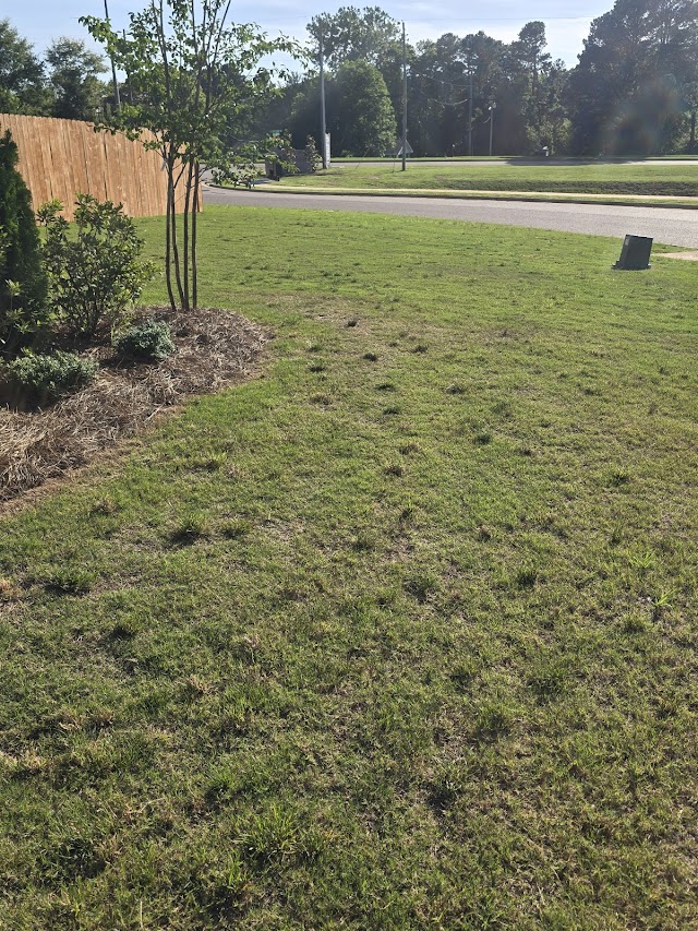 TruGreen Lawn Care photo 2