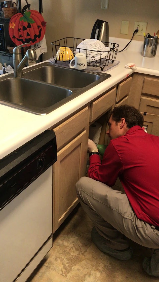Truly Nolen Pest & Termite Control photo 3