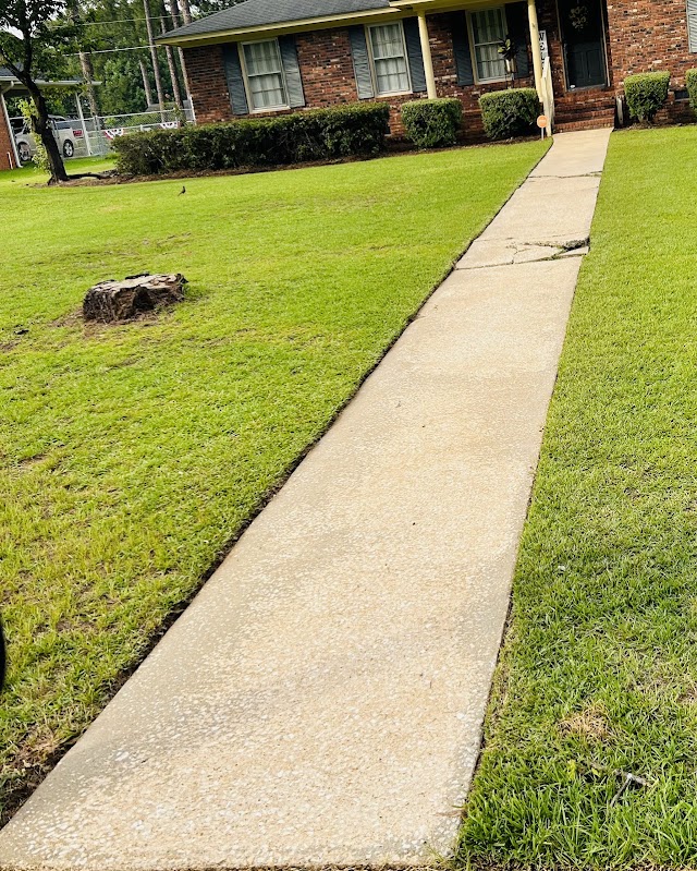 TruPro Softwash photo 3