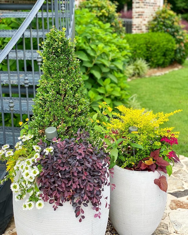 Tuscaloosa Garden Co. photo 2