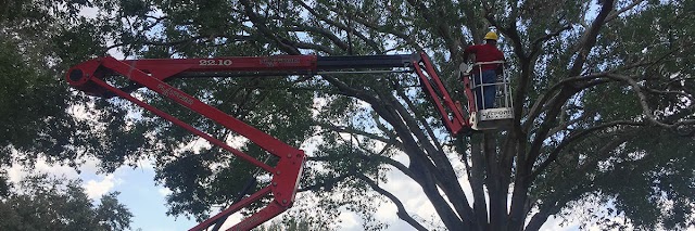 Twisted Tree Service