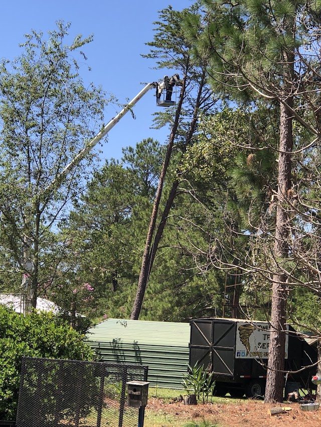 Twisted Tree Service photo 2