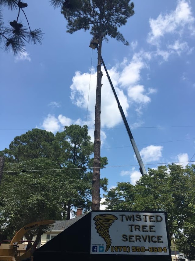 Twisted Tree Service photo 3