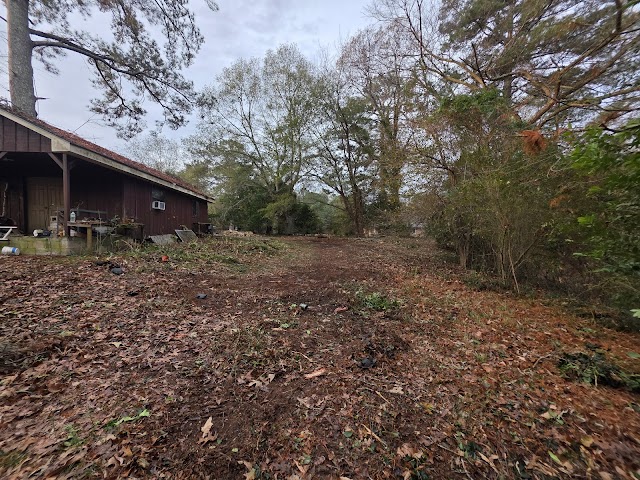 Twisted Tree Service photo 4