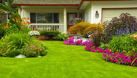 U.S. Lawns - Tuscaloosa