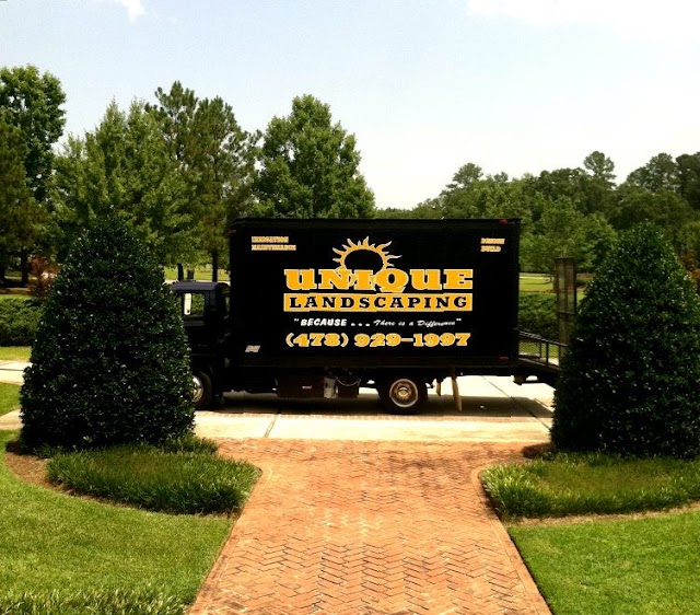 Unique Landscaping