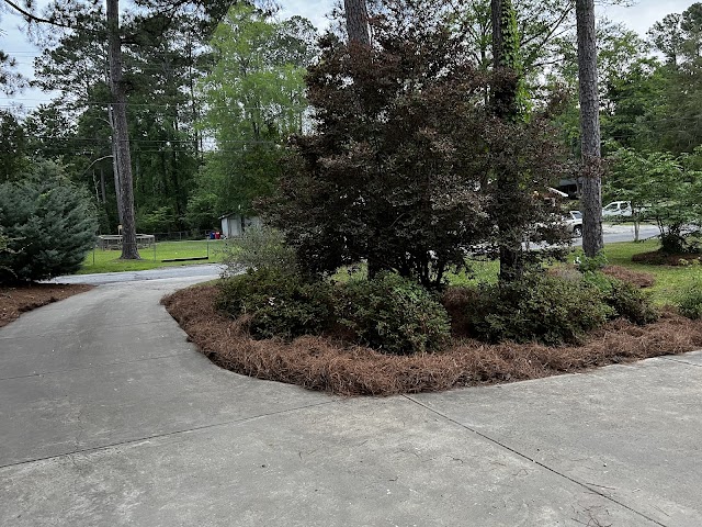Unique Landscaping photo 4
