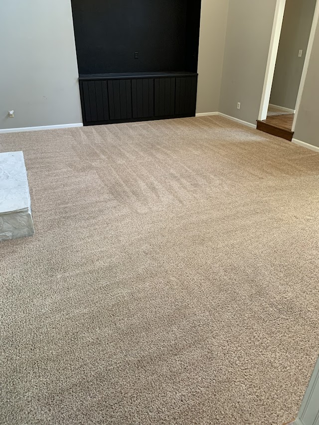 Universal Carpet Cleaning photo 2