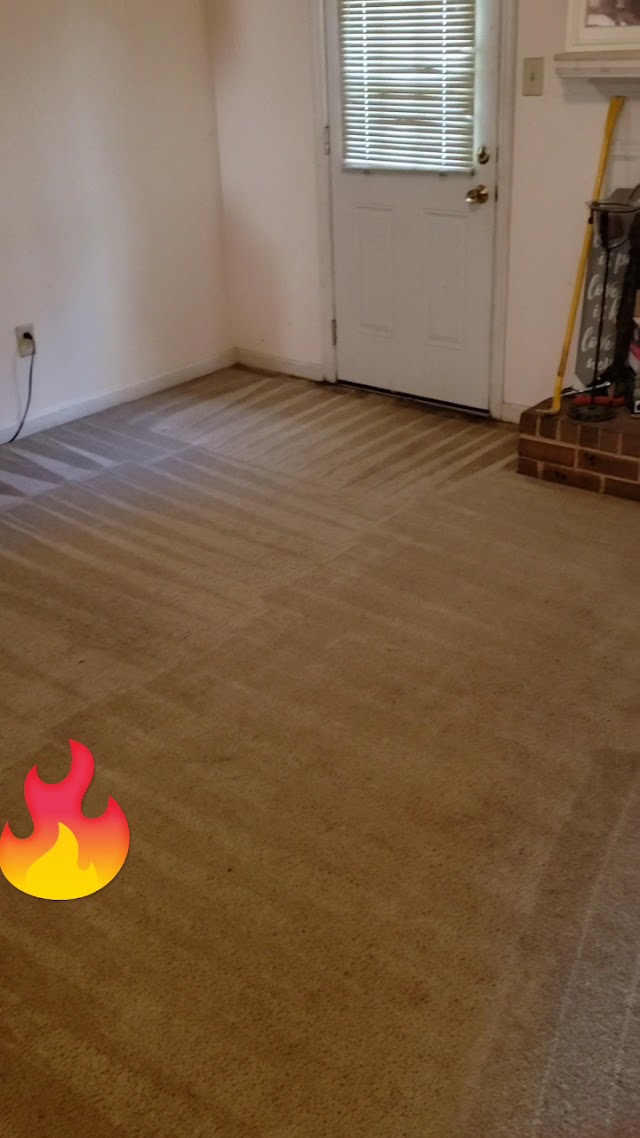 Universal Carpet Cleaning photo 3