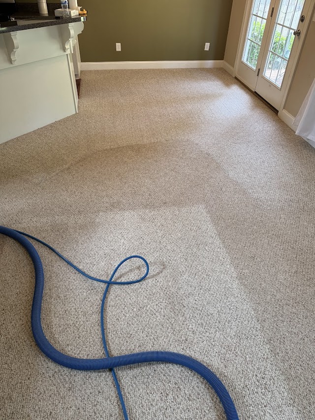 Universal Carpet Cleaning photo 4
