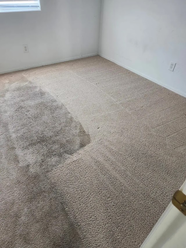 University Carpet & Upholstery Cleaning