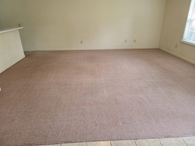 University Carpet & Upholstery Cleaning photo 2